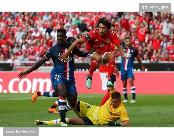 纽卡斯尔接触菲利克斯,马竞标价8000万欧 纽卡斯尔接触菲利克斯,马竞标价8000万欧